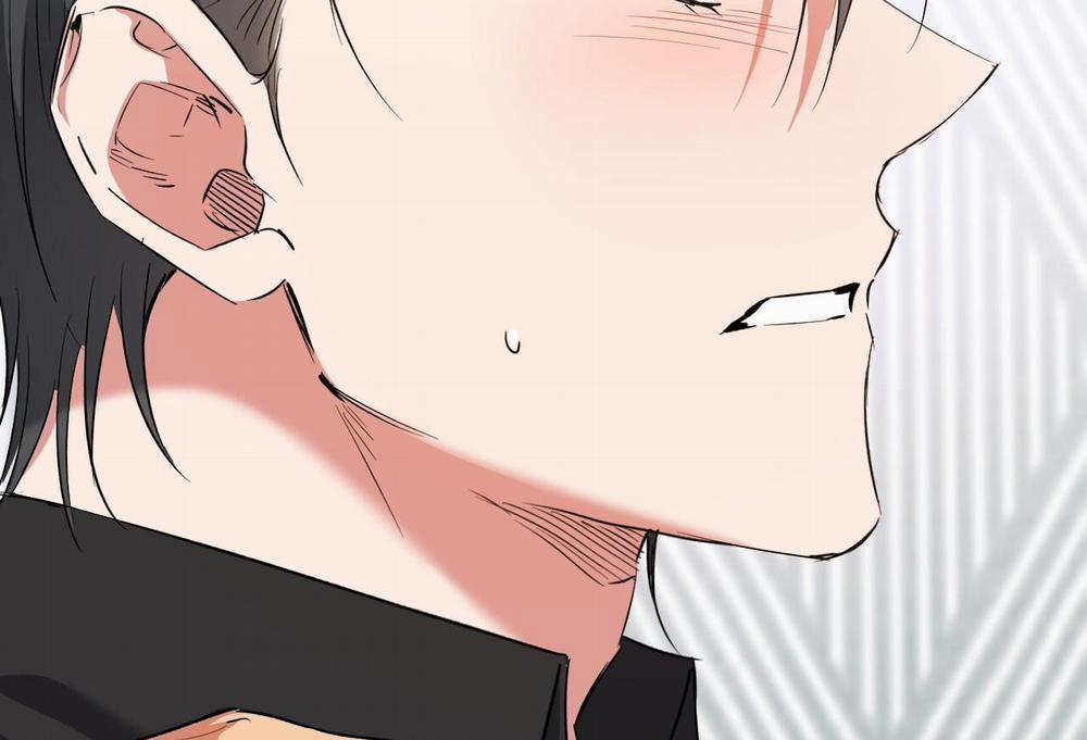 Những Chú Thỏ Của Hapypy 61 trang 9