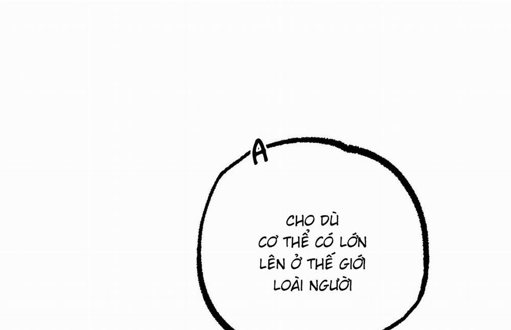 Những Chú Thỏ Của Hapypy 61 trang 97