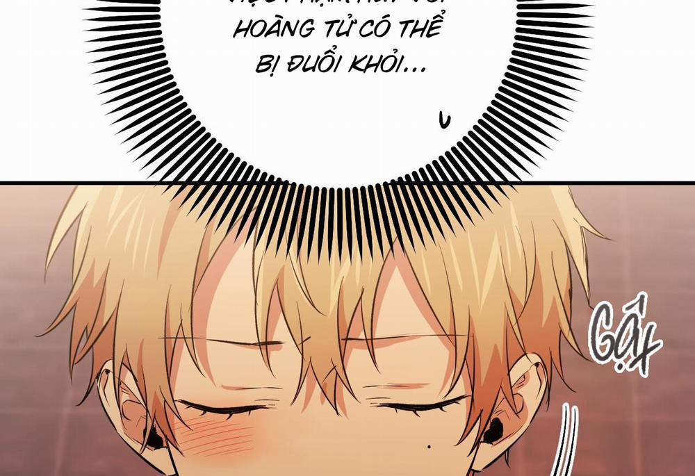 Những Chú Thỏ Của Hapypy 62 trang 104