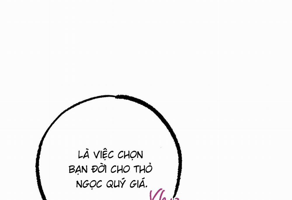 Những Chú Thỏ Của Hapypy 62 trang 140