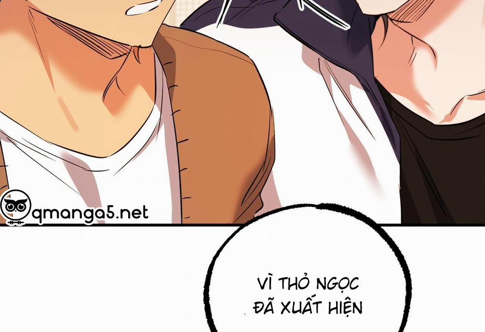 Những Chú Thỏ Của Hapypy 62 trang 142