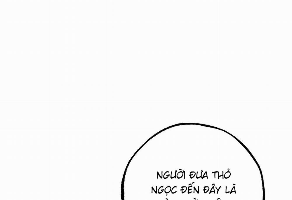 Những Chú Thỏ Của Hapypy 62 trang 156