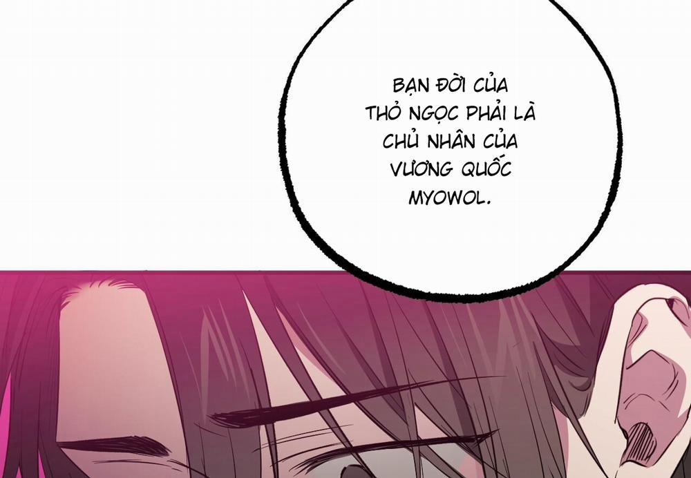 Những Chú Thỏ Của Hapypy 62 trang 161