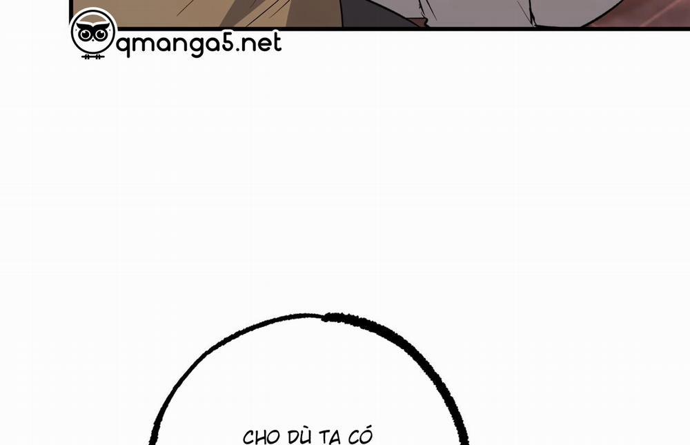 Những Chú Thỏ Của Hapypy 62 trang 210