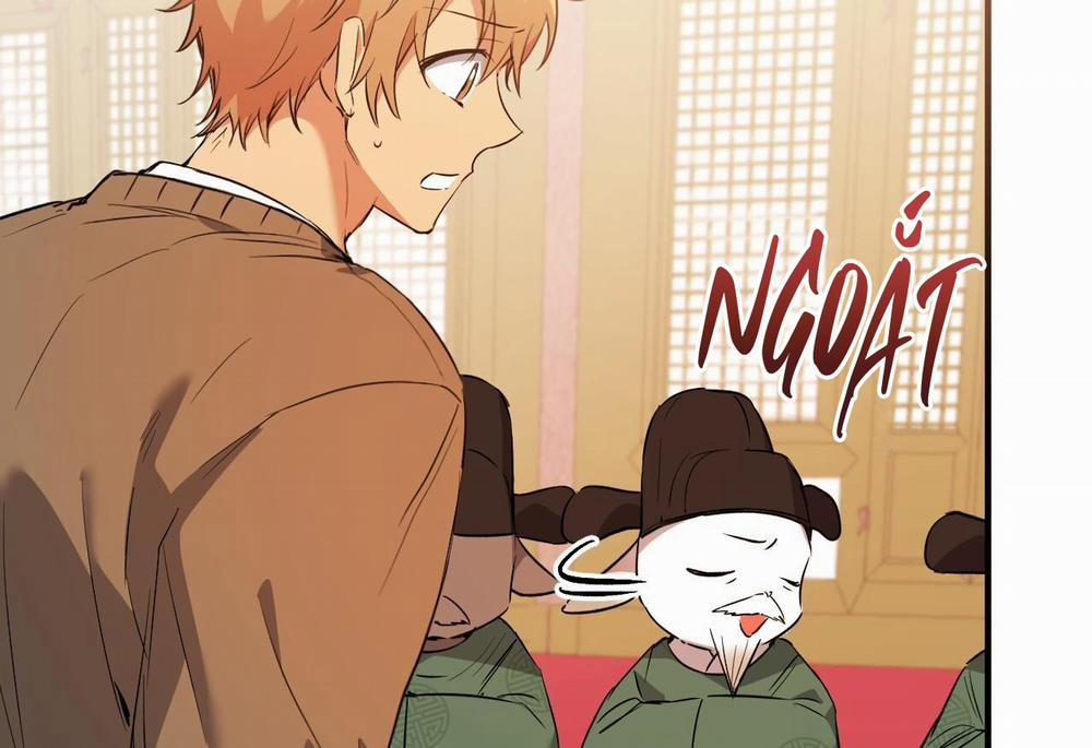 Những Chú Thỏ Của Hapypy 62 trang 241