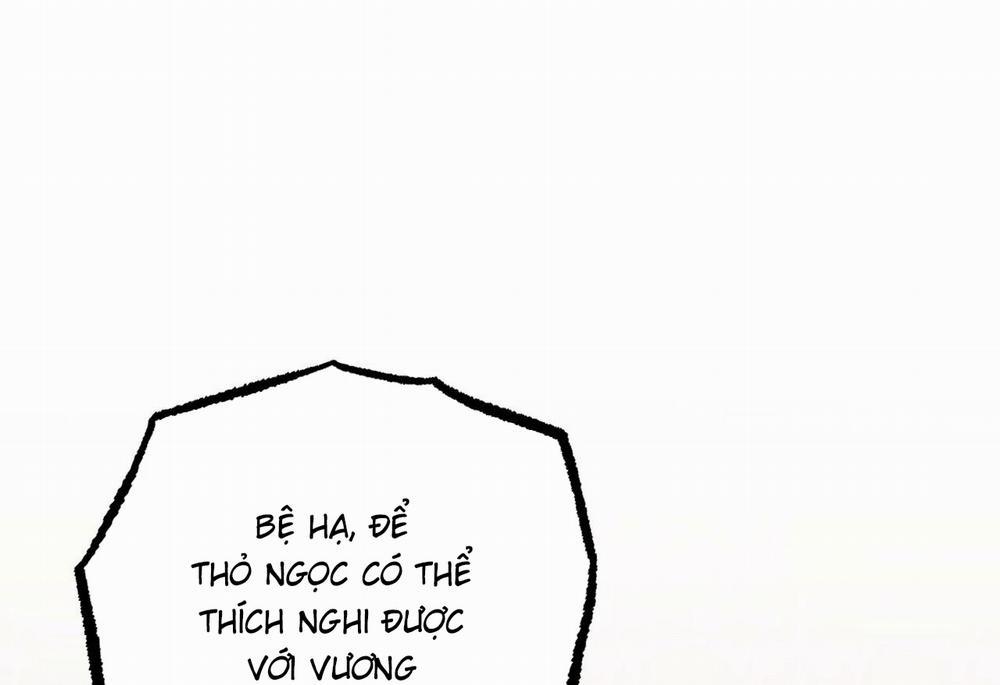 Những Chú Thỏ Của Hapypy 62 trang 244