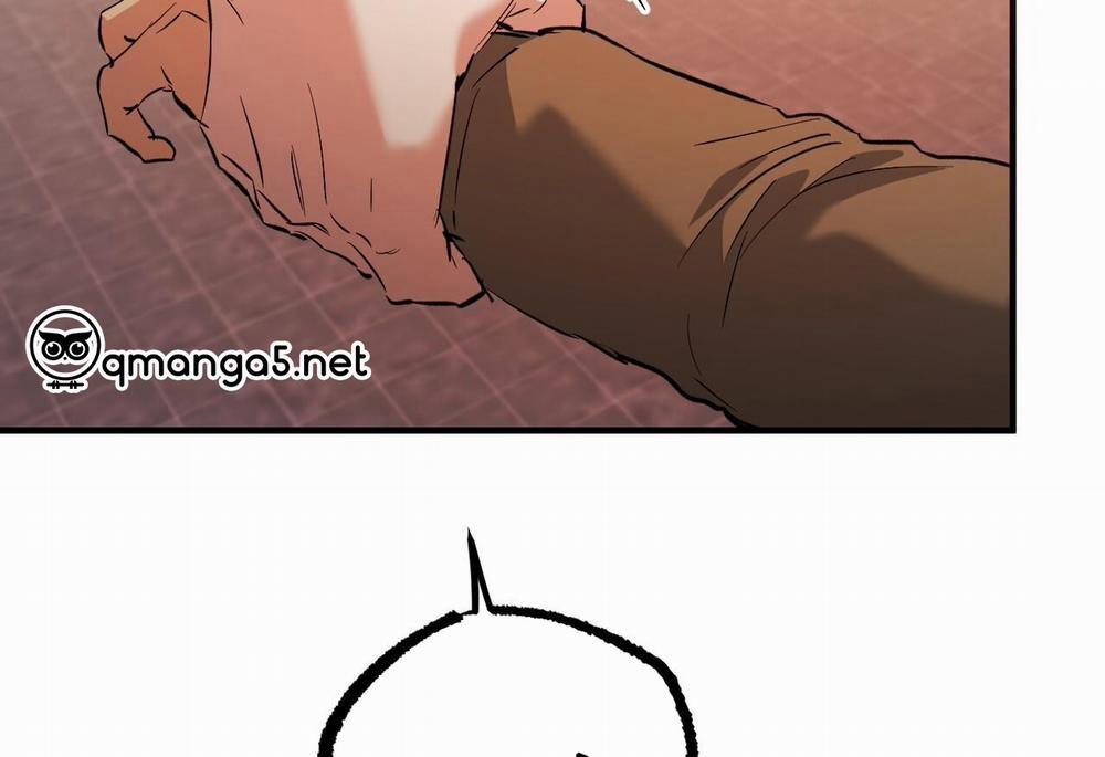 Những Chú Thỏ Của Hapypy 62 trang 251