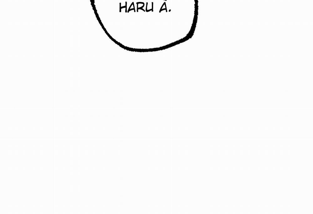 Những Chú Thỏ Của Hapypy 62 trang 252