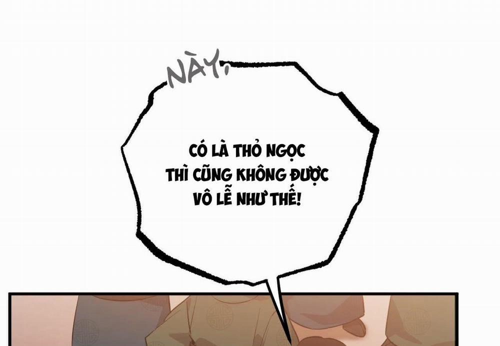 Những Chú Thỏ Của Hapypy 62 trang 264