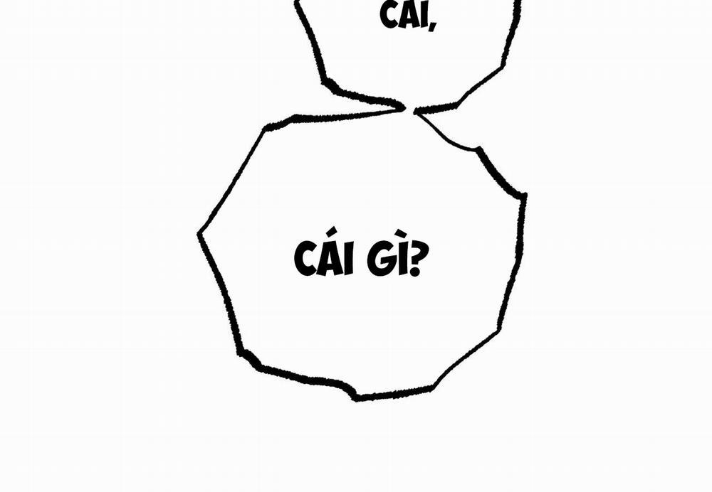 Những Chú Thỏ Của Hapypy 62 trang 275