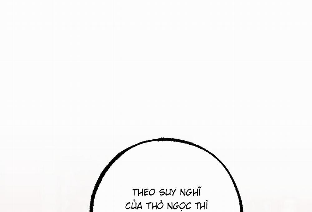 Những Chú Thỏ Của Hapypy 62 trang 297