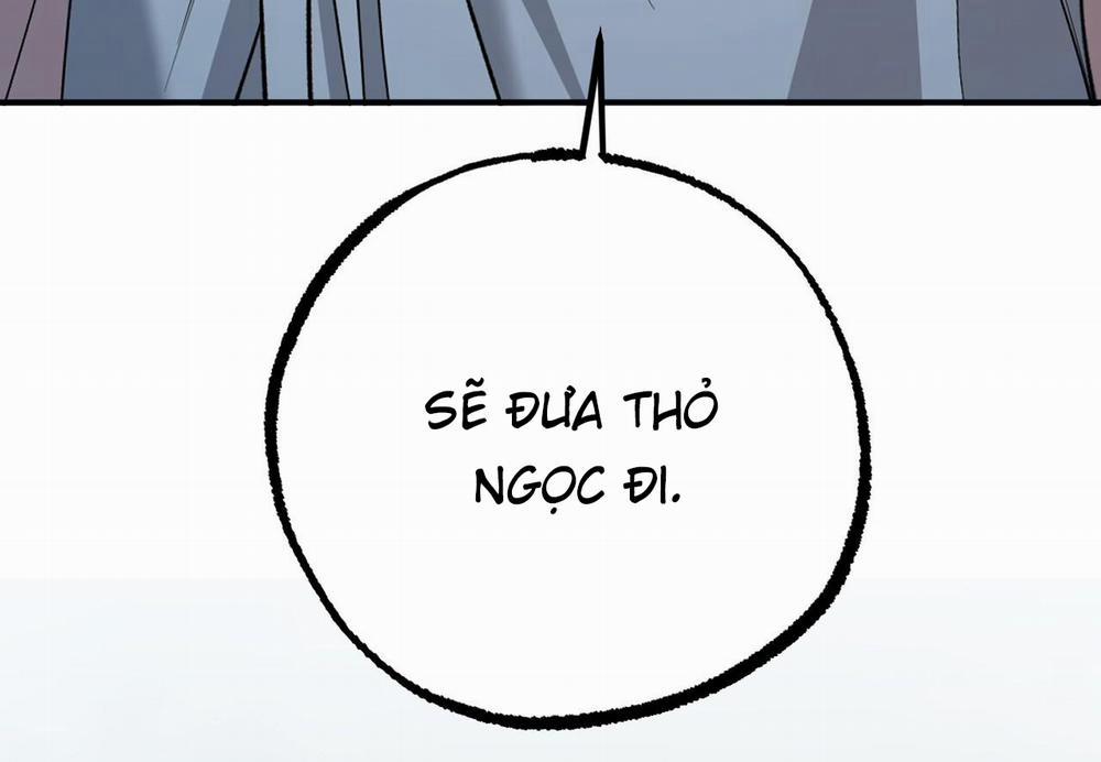 Những Chú Thỏ Của Hapypy 62 trang 5