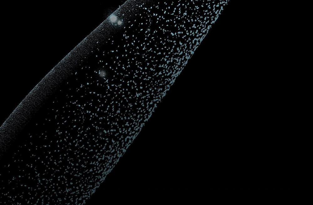 Những Chú Thỏ Của Hapypy 62 trang 57