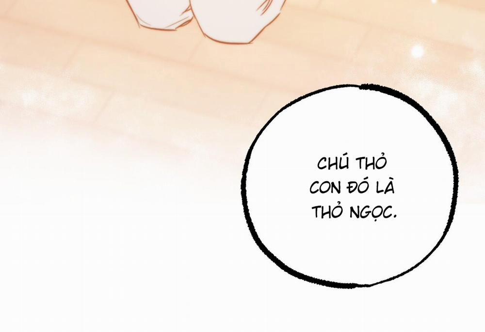 Những Chú Thỏ Của Hapypy 62 trang 91