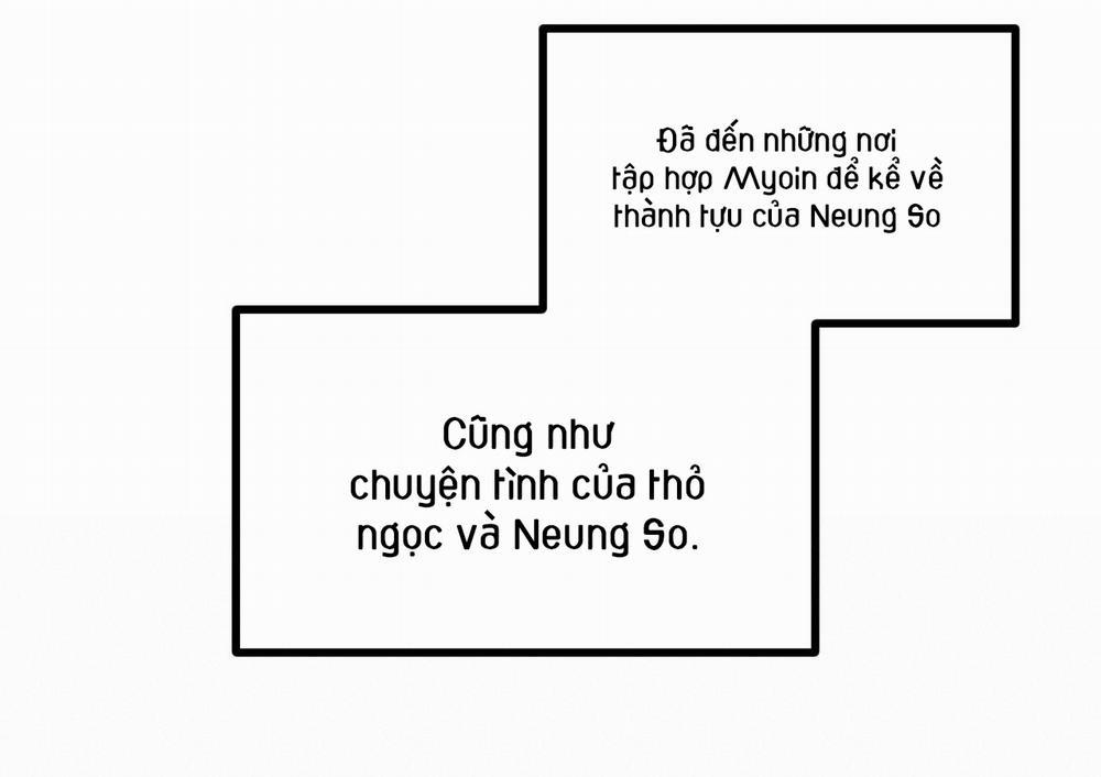 Những Chú Thỏ Của Hapypy 63 trang 133