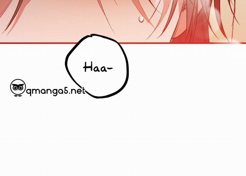 Những Chú Thỏ Của Hapypy 63 trang 150