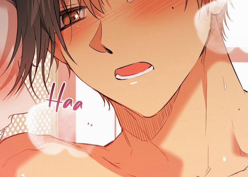 Những Chú Thỏ Của Hapypy 63 trang 160