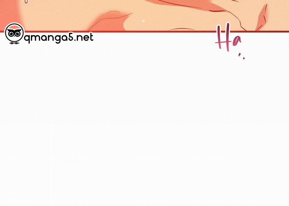 Những Chú Thỏ Của Hapypy 63 trang 161