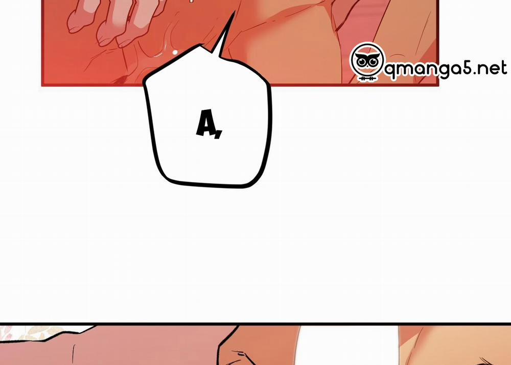 Những Chú Thỏ Của Hapypy 63 trang 167