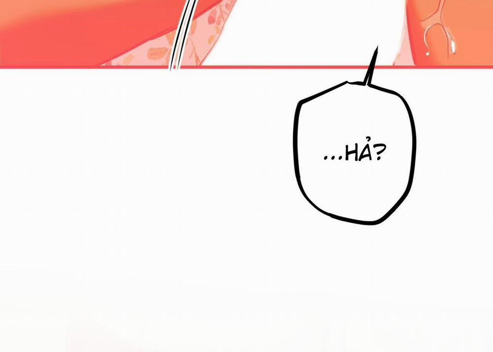 Những Chú Thỏ Của Hapypy 63 trang 169