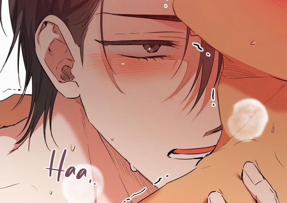 Những Chú Thỏ Của Hapypy 63 trang 177