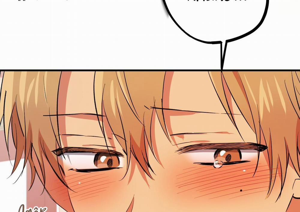 Những Chú Thỏ Của Hapypy 63 trang 189