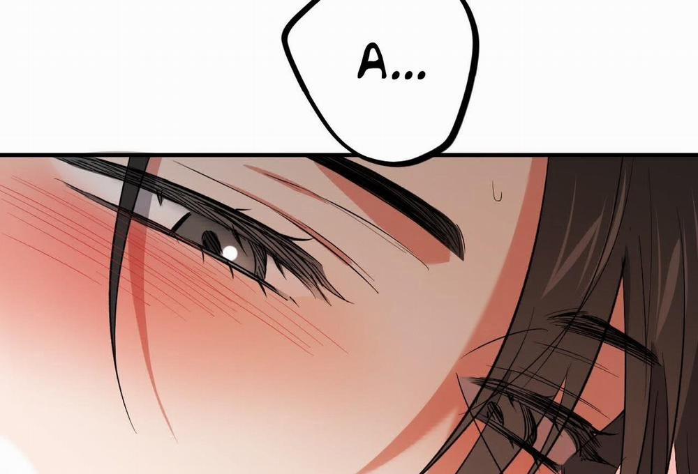 Những Chú Thỏ Của Hapypy 63 trang 199