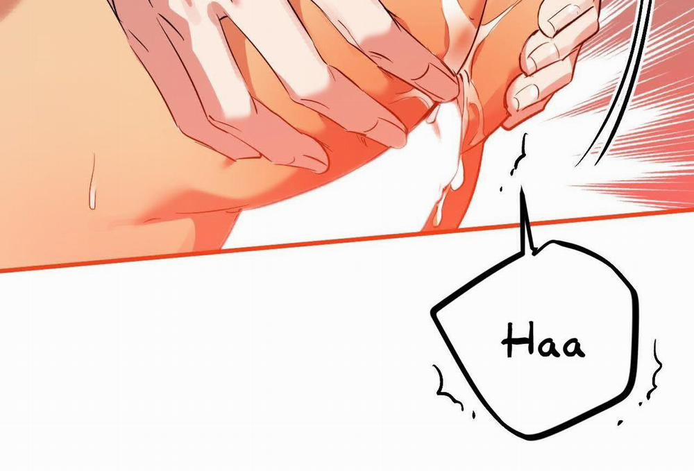 Những Chú Thỏ Của Hapypy 63 trang 210