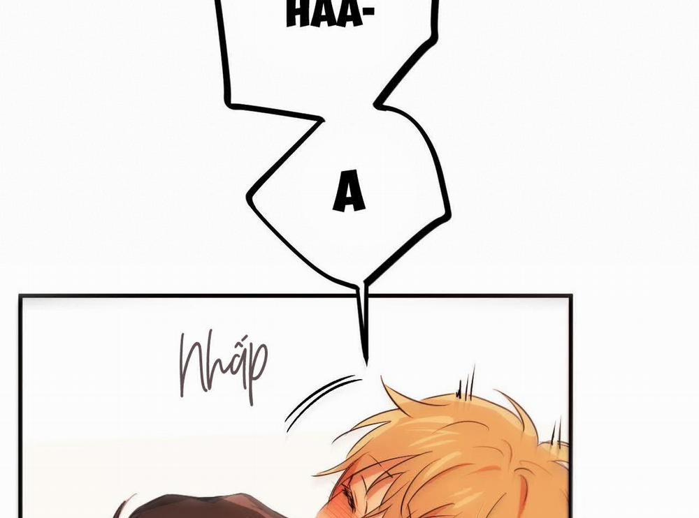 Những Chú Thỏ Của Hapypy 63 trang 215