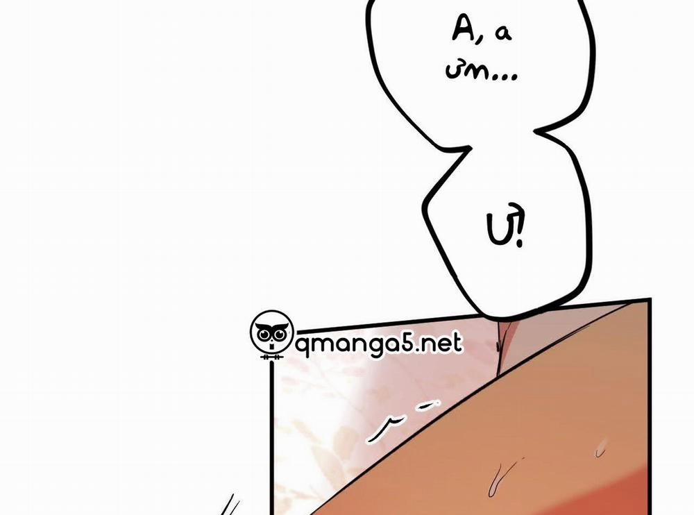 Những Chú Thỏ Của Hapypy 63 trang 227