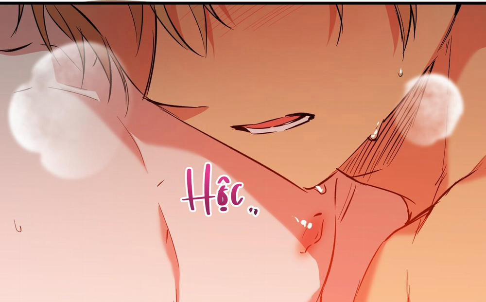 Những Chú Thỏ Của Hapypy 63 trang 235