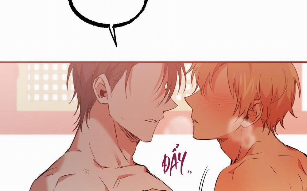 Những Chú Thỏ Của Hapypy 63 trang 239