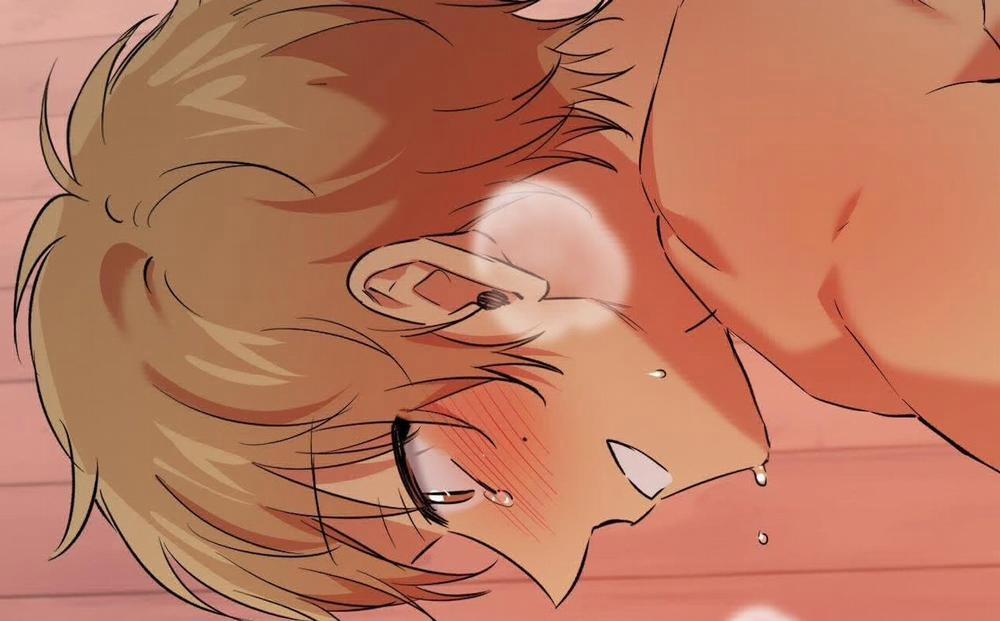 Những Chú Thỏ Của Hapypy 63 trang 244