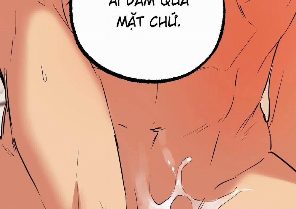 Những Chú Thỏ Của Hapypy 63 trang 261