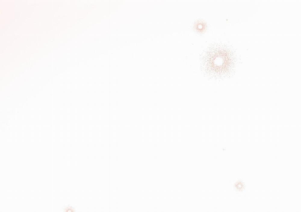 Những Chú Thỏ Của Hapypy 63 trang 52