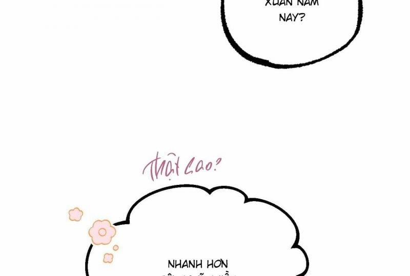 Những Chú Thỏ Của Hapypy 64.5 trang 111