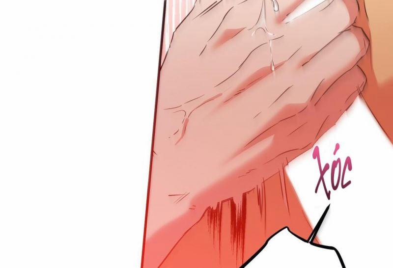 Những Chú Thỏ Của Hapypy 64 trang 10