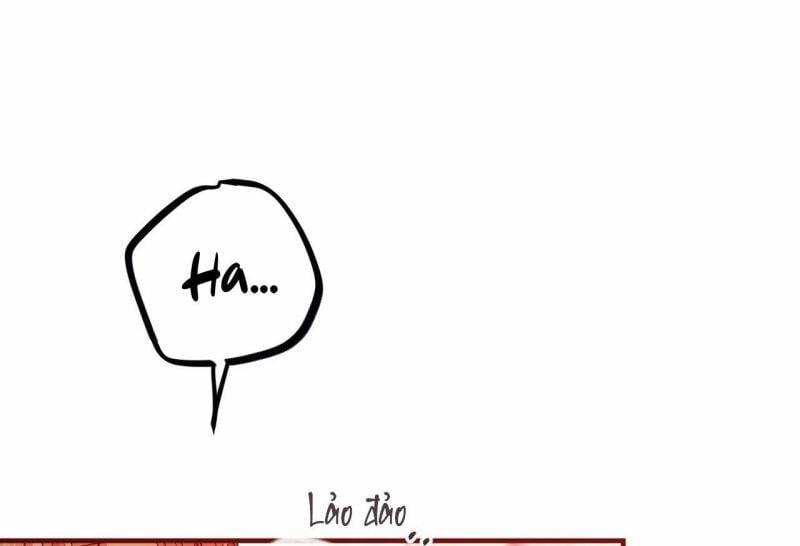 Những Chú Thỏ Của Hapypy 64 trang 19