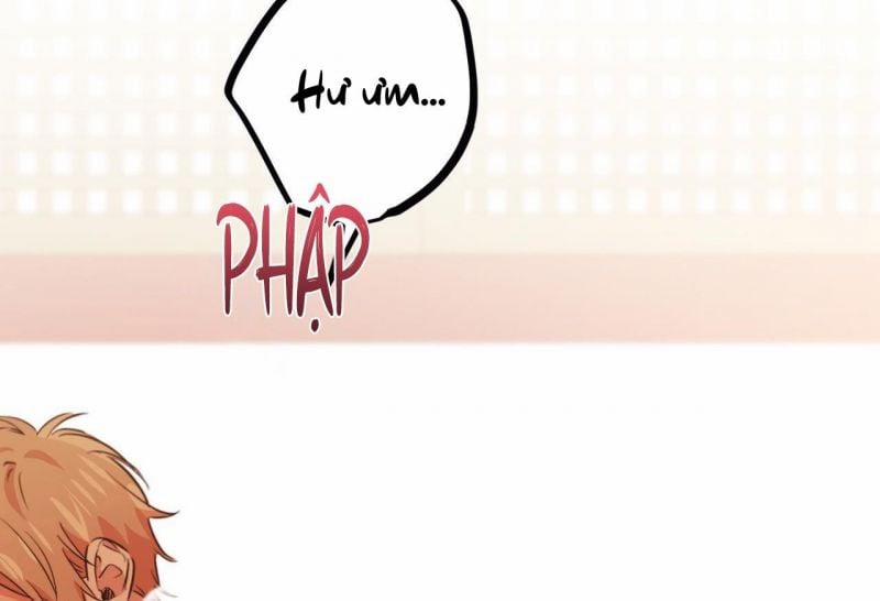 Những Chú Thỏ Của Hapypy 64 trang 2