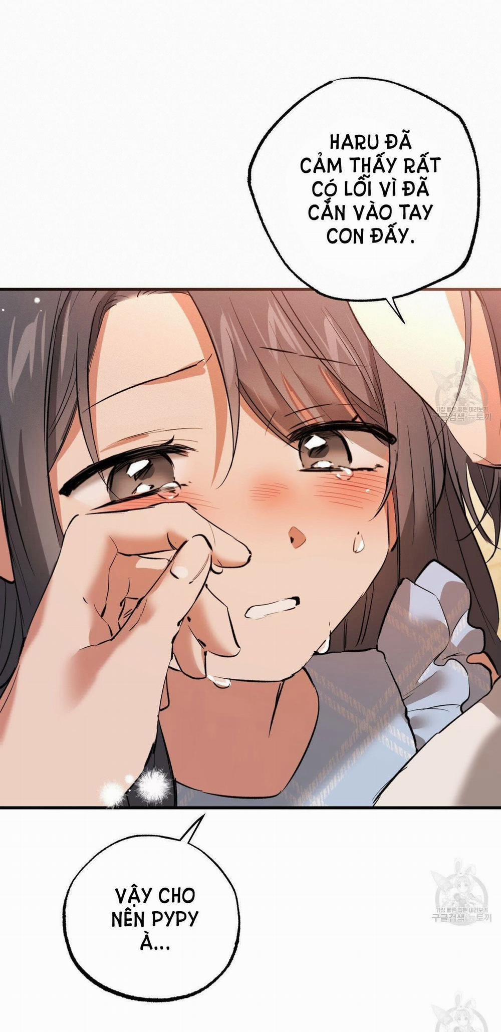 Những Chú Thỏ Của Hapypy 65.1 trang 15