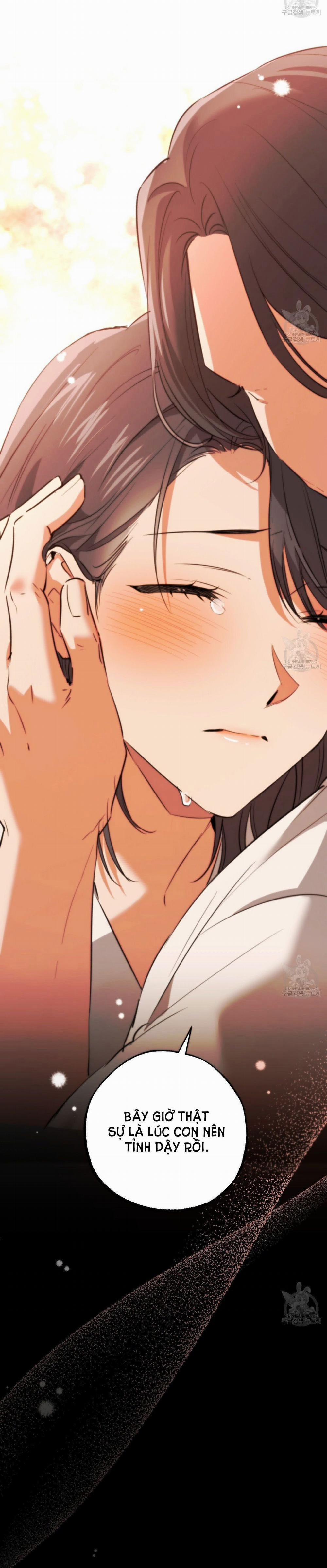 Những Chú Thỏ Của Hapypy 65.1 trang 18