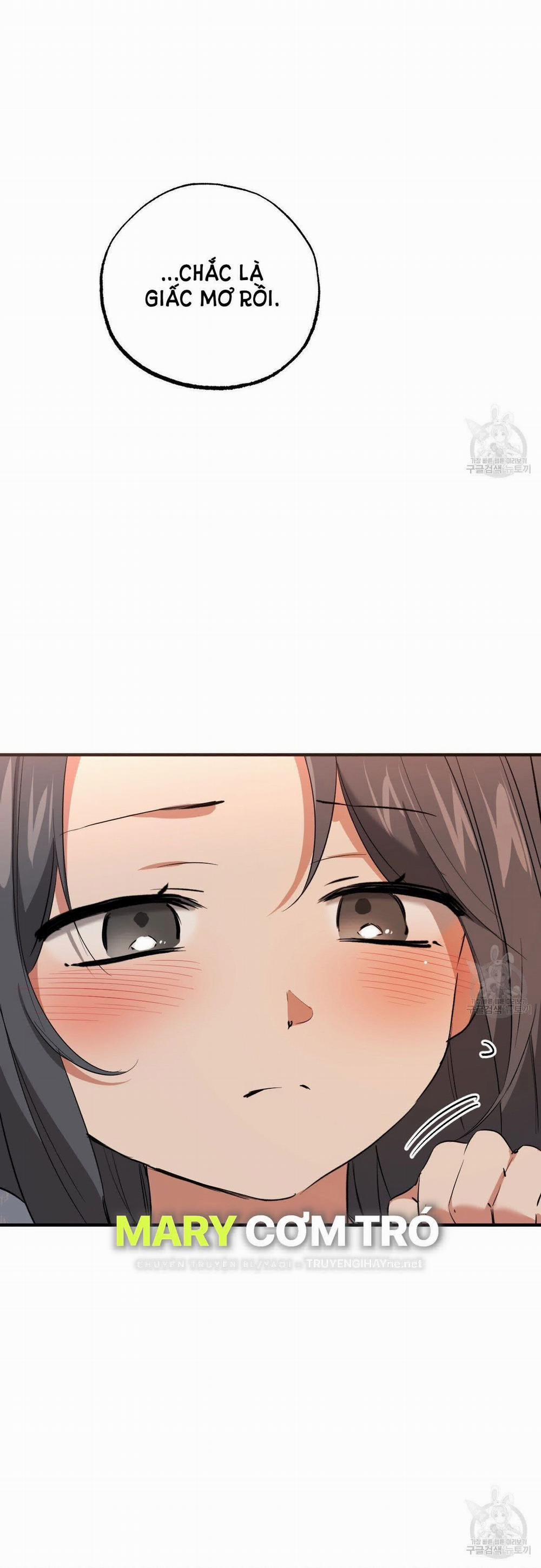 Những Chú Thỏ Của Hapypy 65.1 trang 6