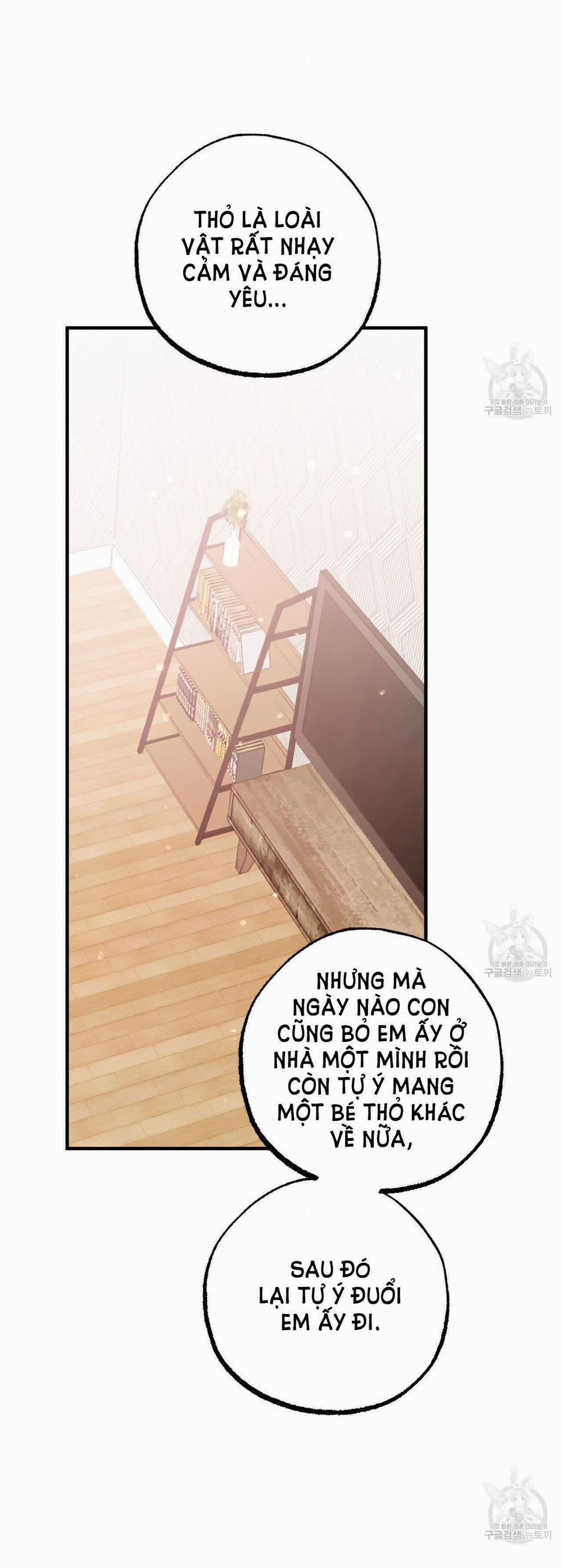 Những Chú Thỏ Của Hapypy 65.1 trang 8