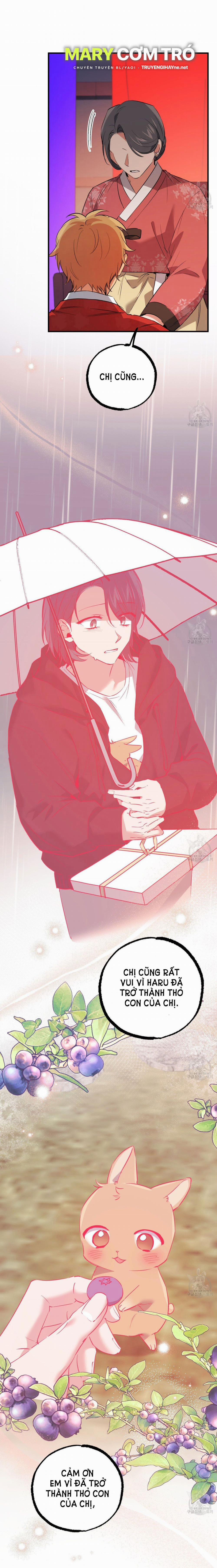 Những Chú Thỏ Của Hapypy 65.2 trang 26