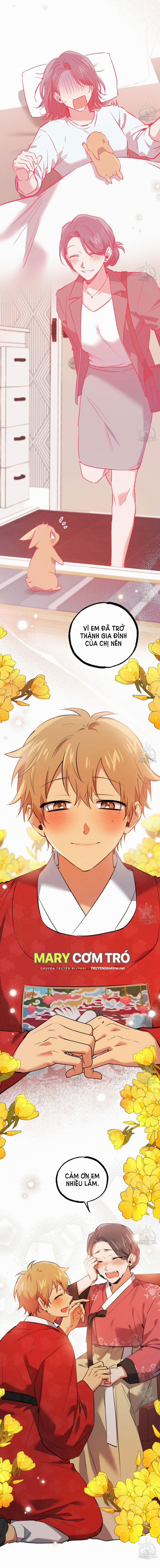 Những Chú Thỏ Của Hapypy 65.2 trang 27