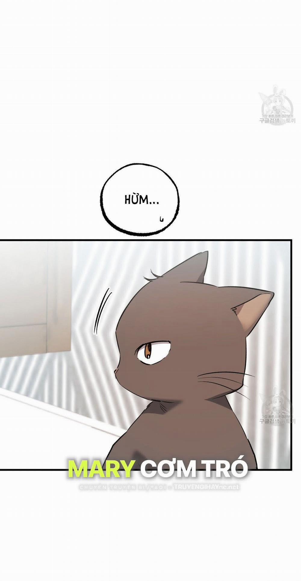 Những Chú Thỏ Của Hapypy 65.2 trang 31