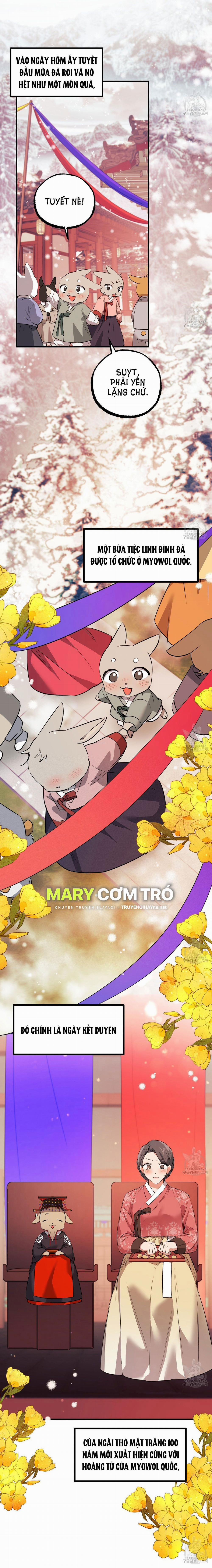 Những Chú Thỏ Của Hapypy 65.2 trang 7