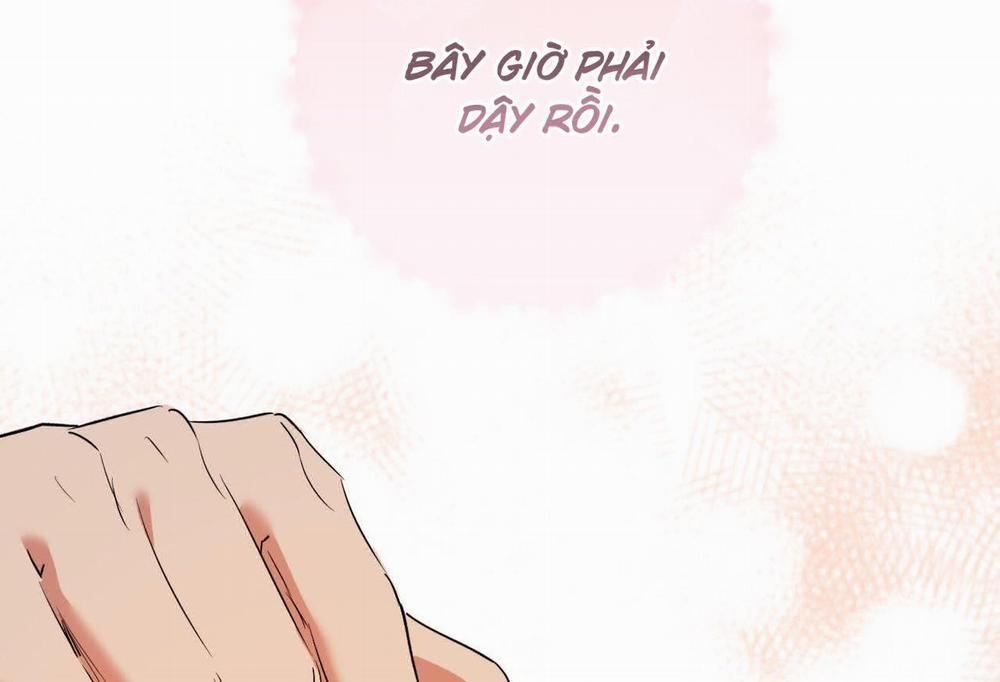 Những Chú Thỏ Của Hapypy 65 trang 10