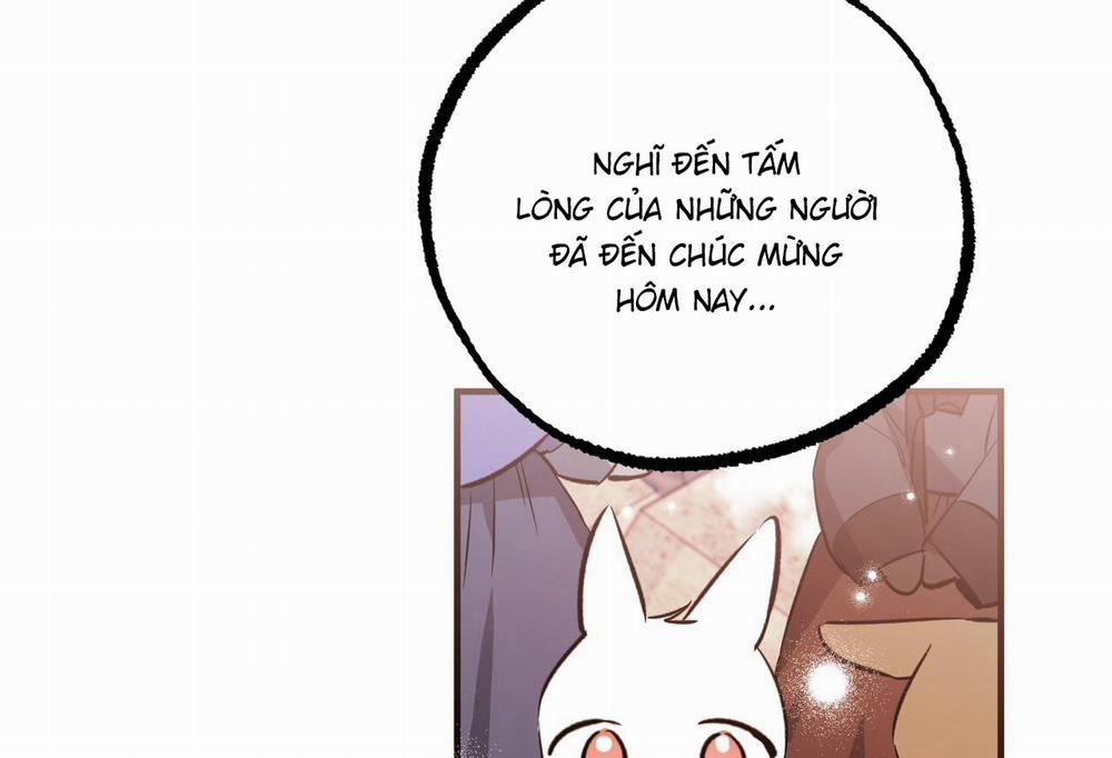 Những Chú Thỏ Của Hapypy 65 trang 168