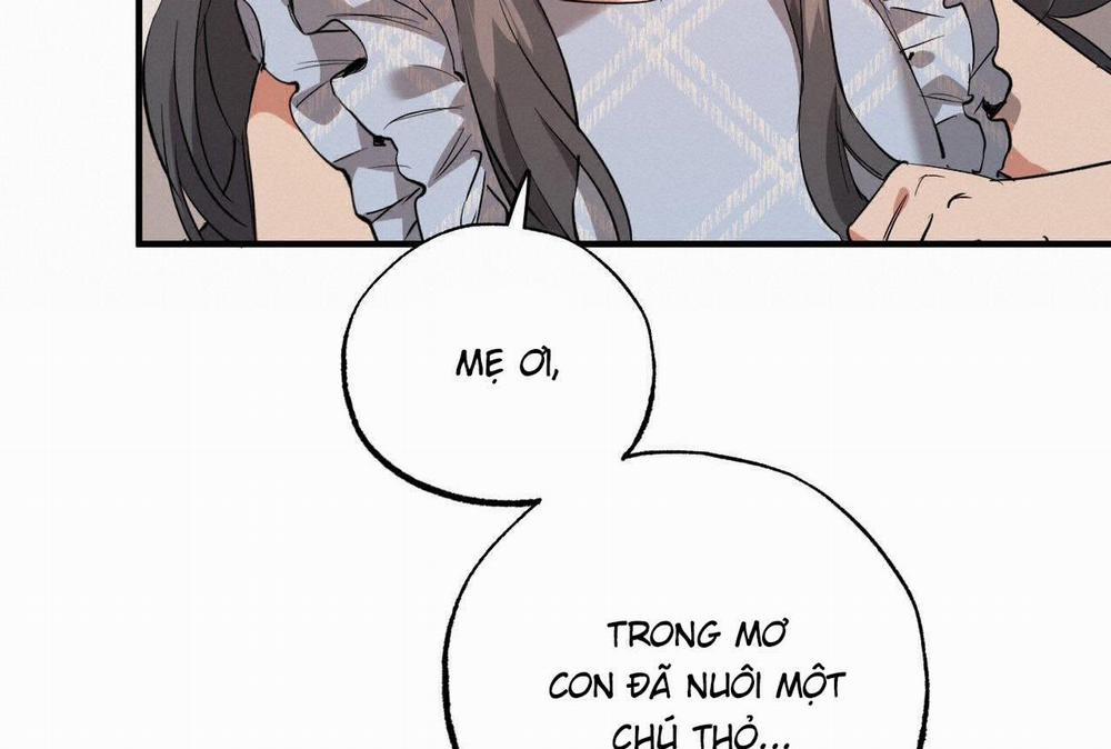 Những Chú Thỏ Của Hapypy 65 trang 31